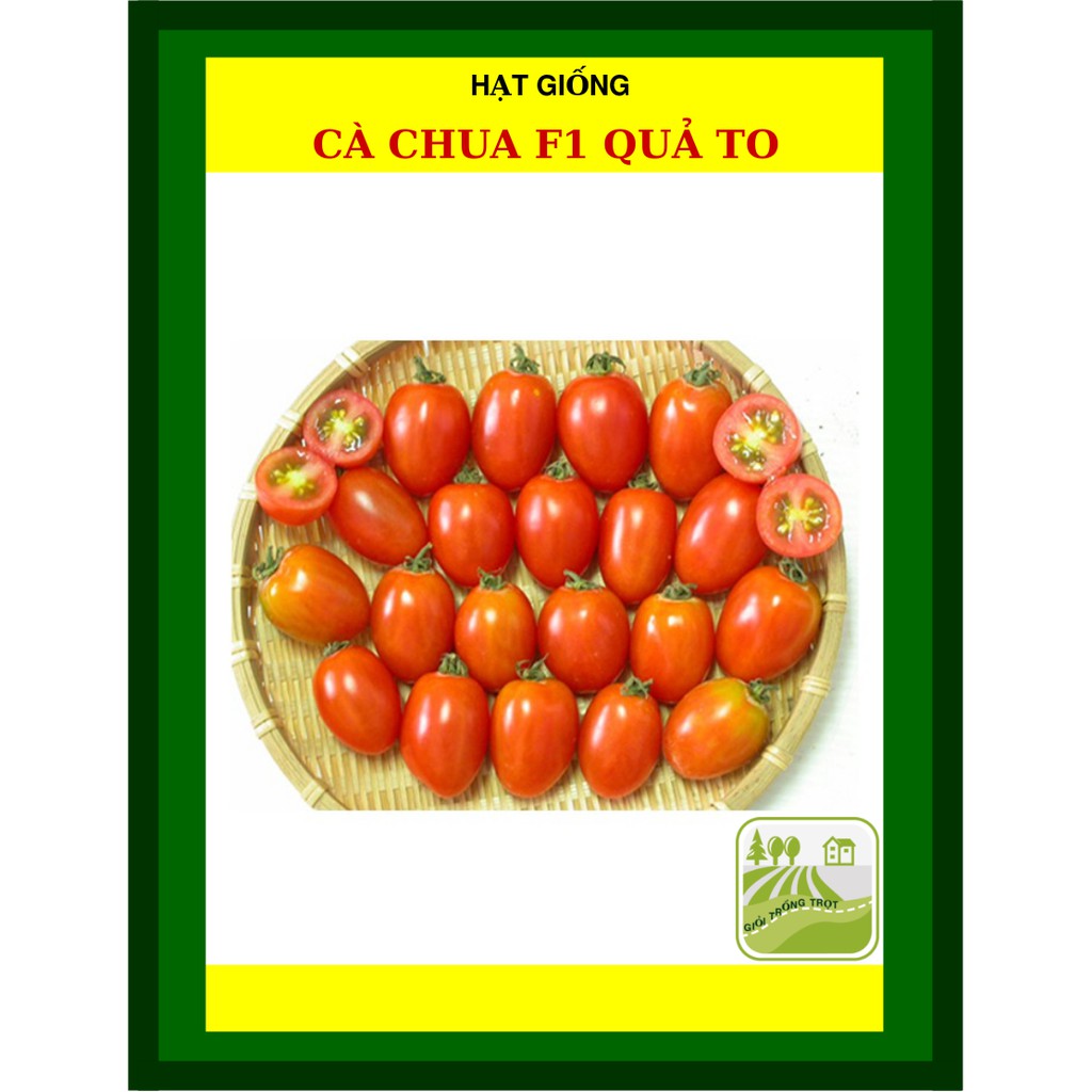 Hạt Giống Cà Chua 1Gram
