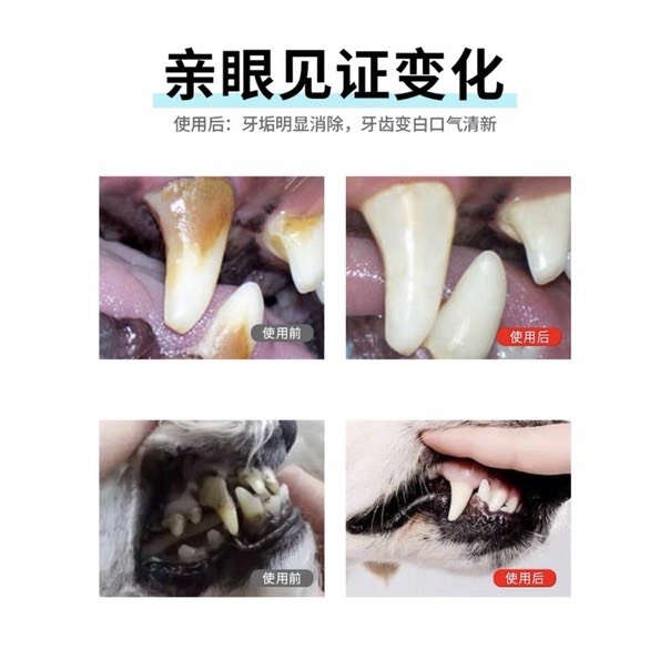 🦷 Xịt Khử Mùi răng miệng cho Chó Mèo -70 Present 120ml 🦷