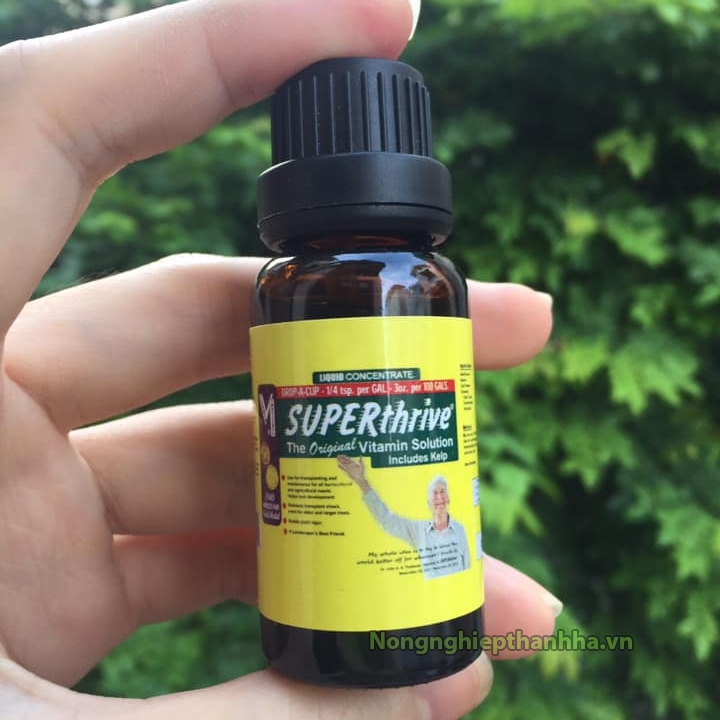 Hoocmon kích thích sinh trưởng Superthrive 20ml - T199
