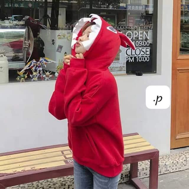 Áo Hoodie Thêu  mũ Thú Cute