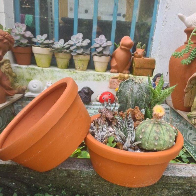 Chậu đất nung Bình Dương thau miệng 20 x cao 9