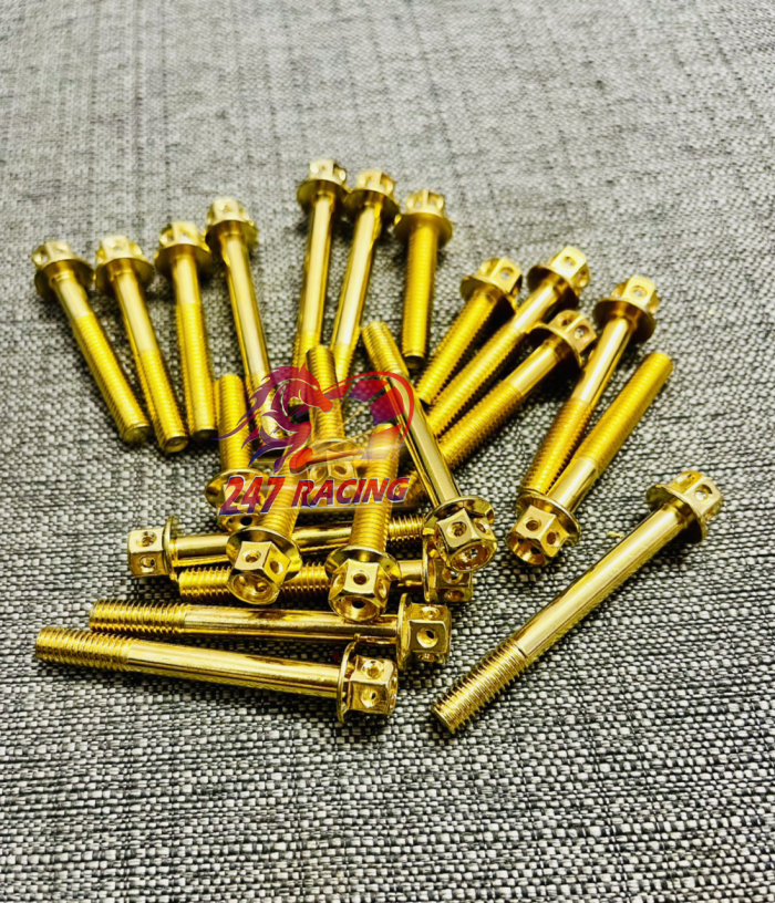 Ốc Lốc Máy Xi Vàng Gắn cho xe SIRIUS, EXCITER 2011 22 con