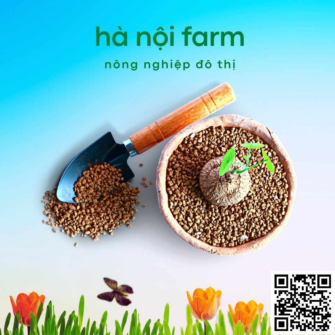 Đất nung Nhật Bản Akadama, Đất nung núi lửa - 1KG