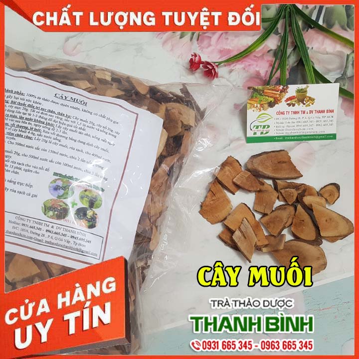 Cây muối khô 100g - hàng công ty 100% tự nhiên