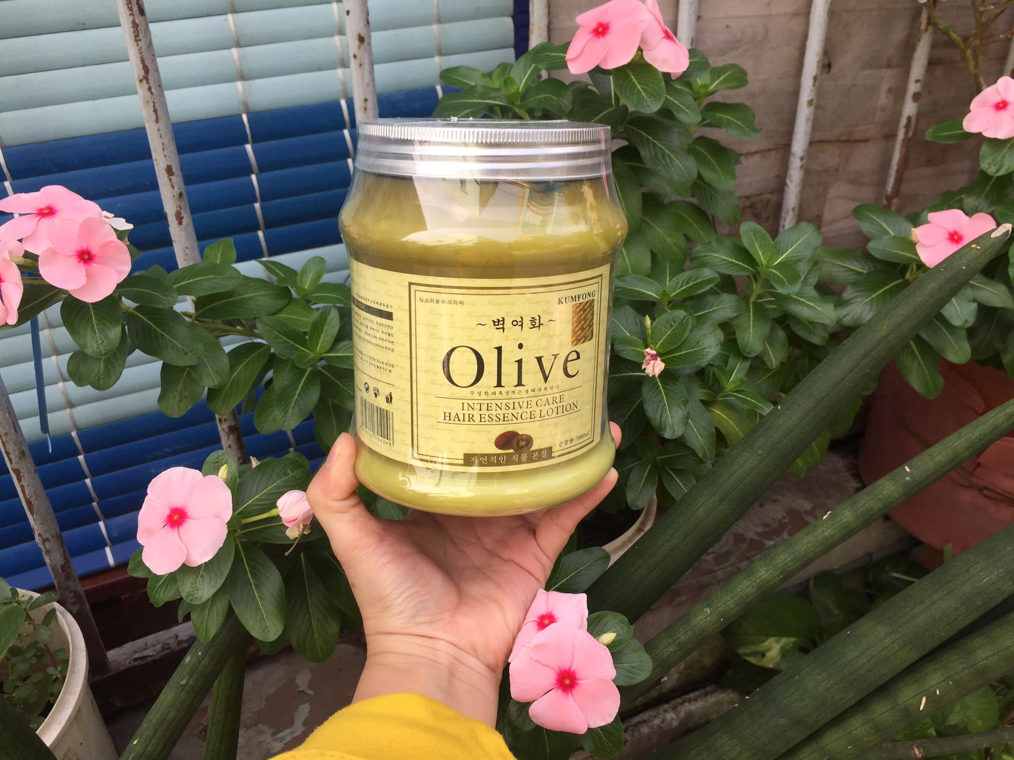 Hấp dầu Olive nắp nhôm 1000 ml phục hồi tóc khô xơ giúp tóc bóng mượt