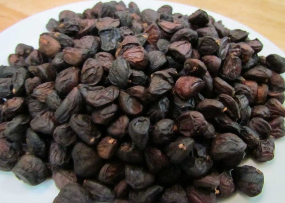 hạt dổi rừng tây bắc loại 1