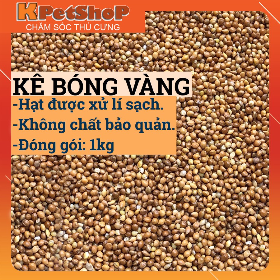 Hạt kê bóng vàng 1kg - thức ăn cho Hamster, Chim...