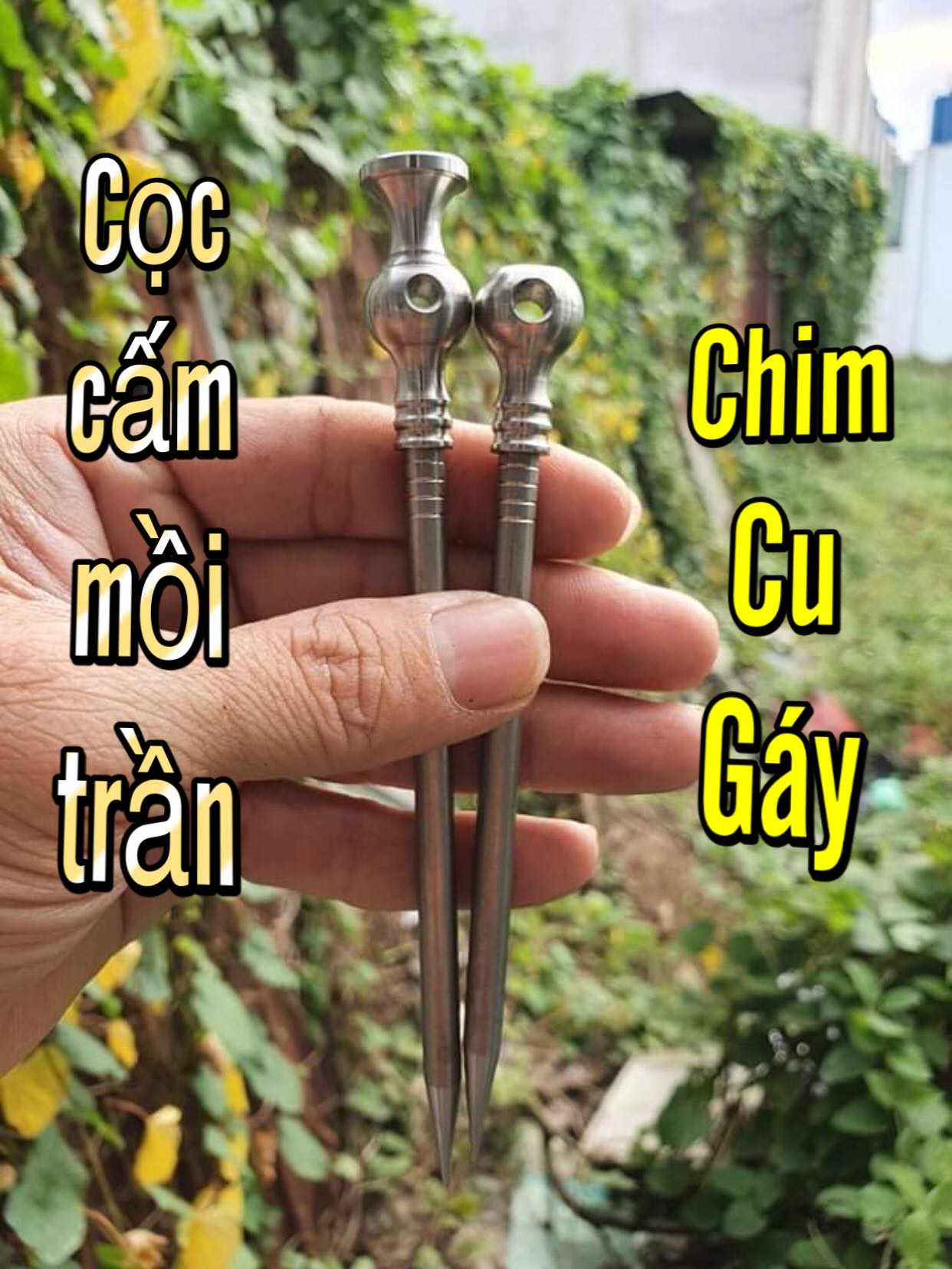 [HCM]Cặp cọc mồi trần cao cấp chim cu gáy.
