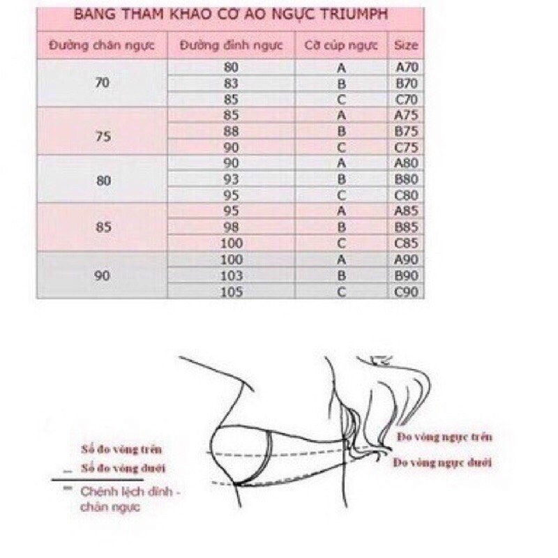 Triumph Maximizer 039 Mvt Bra
