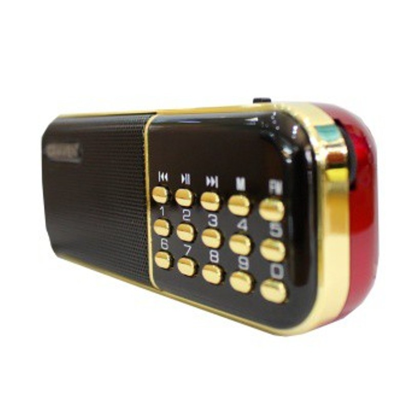 [HCM]Loa Radio Fm/ Usb/ TF - Craven CR-25A