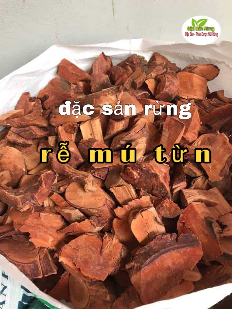 1Kg   Rễ Cây Mú Từn khô ( 100% Rễ , Không Pha Thân )