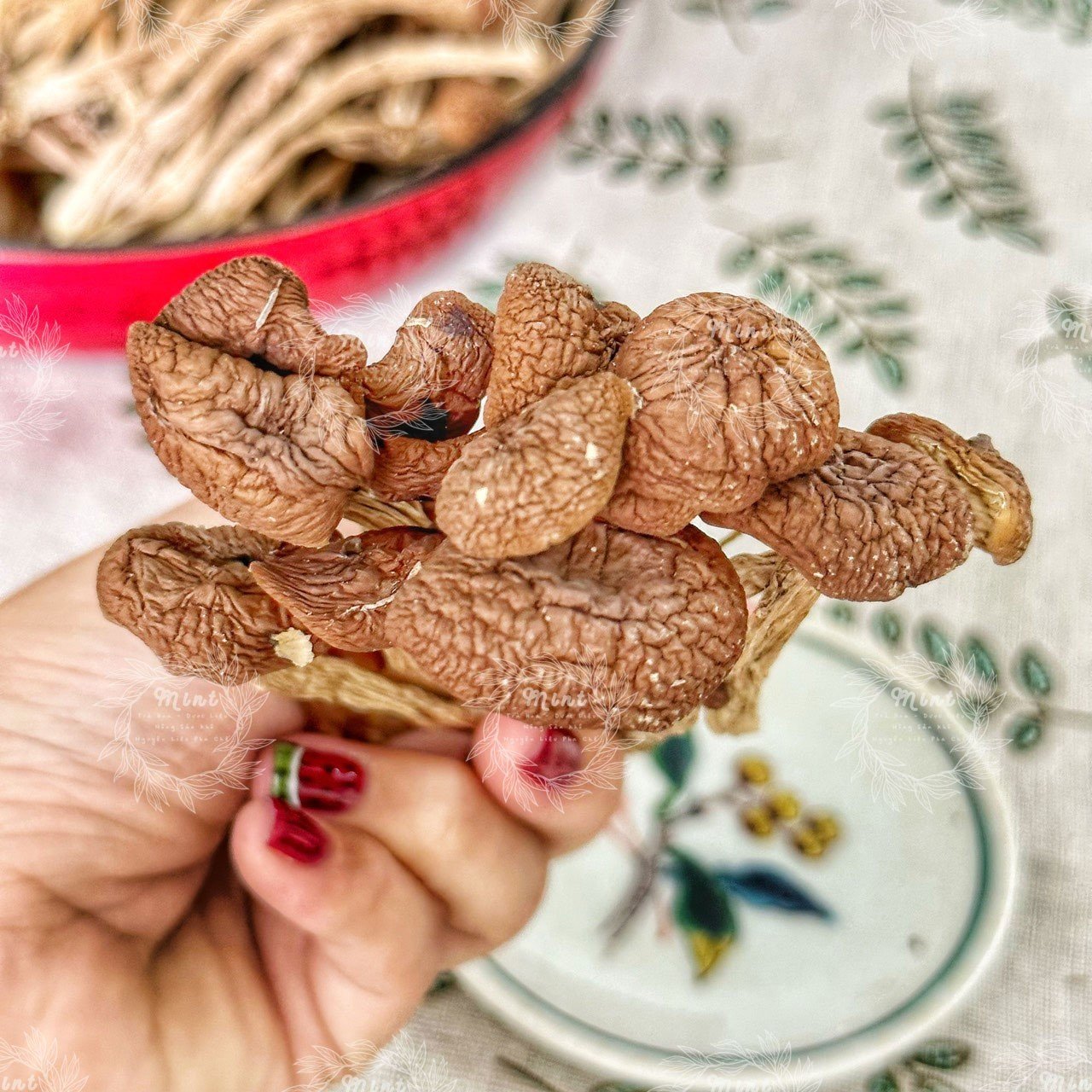 Nấm Chè Sấy Khô (Nấm Trà Tân Khô) - Túi 100gr