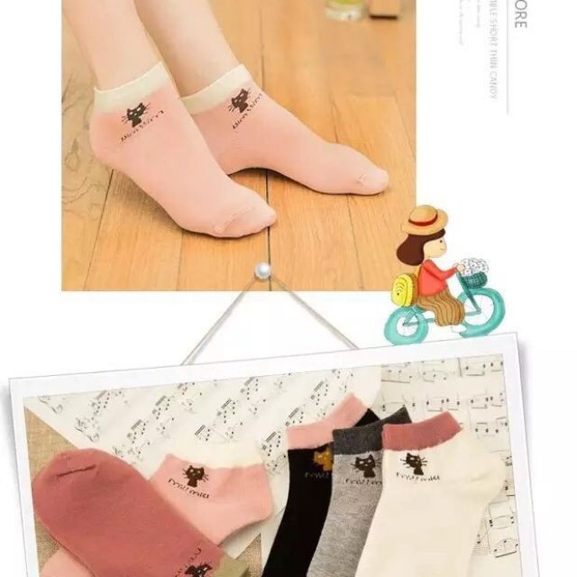 Combo 10 Đôi Tất Mèo Cotton Cổ Ngắn
