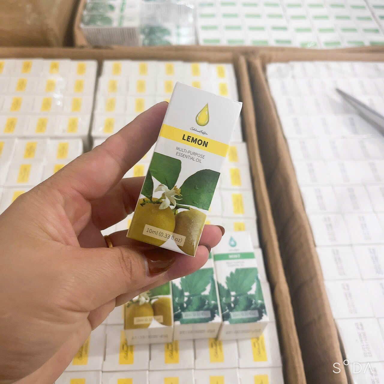 Tinh Dầu Xả Chanh Bạc Hà Tự Nhiên Lọ 10ml Ale