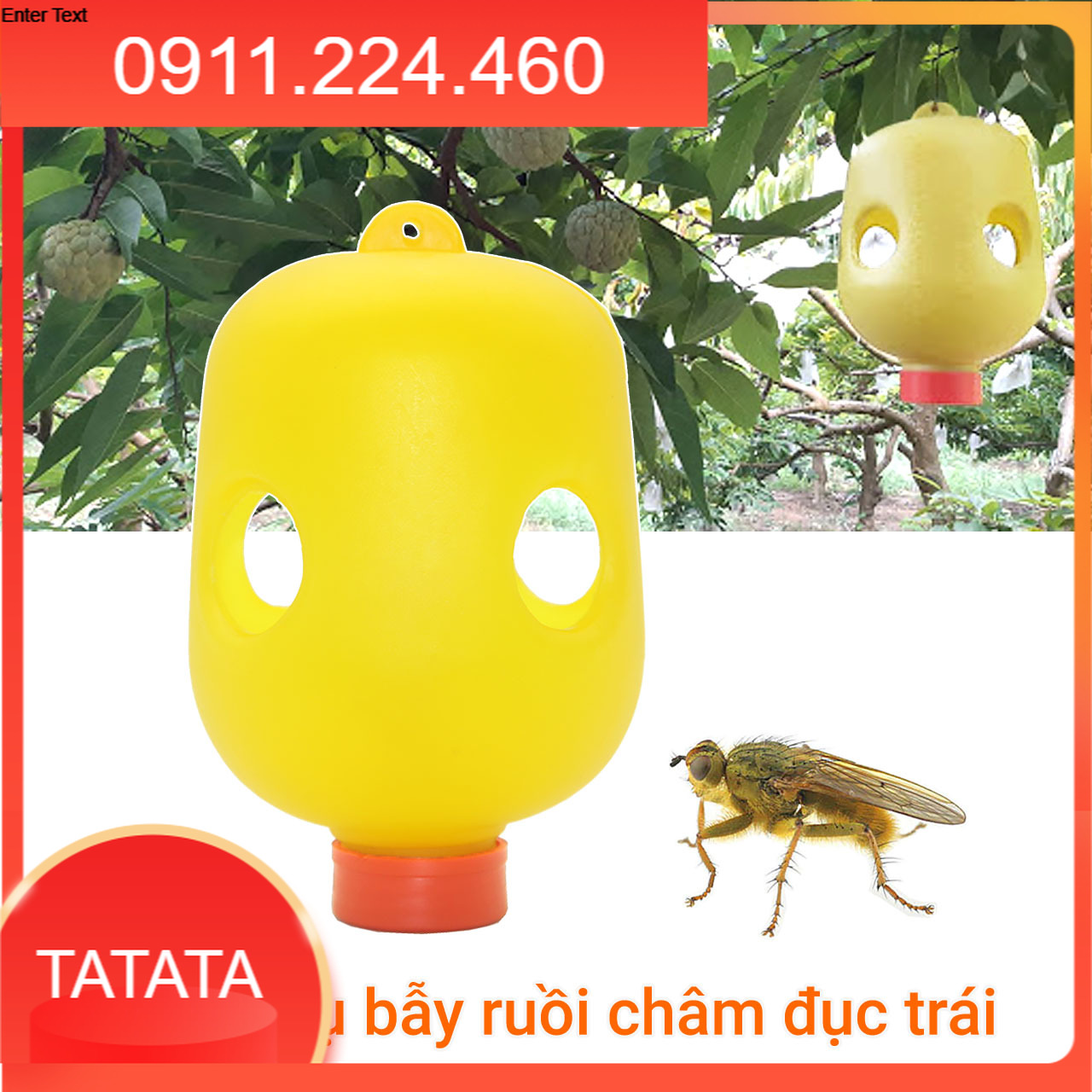 Lồng bẫy ruồi