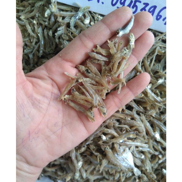 500 GAM CÁ CƠM KHÔ LOẠI 2