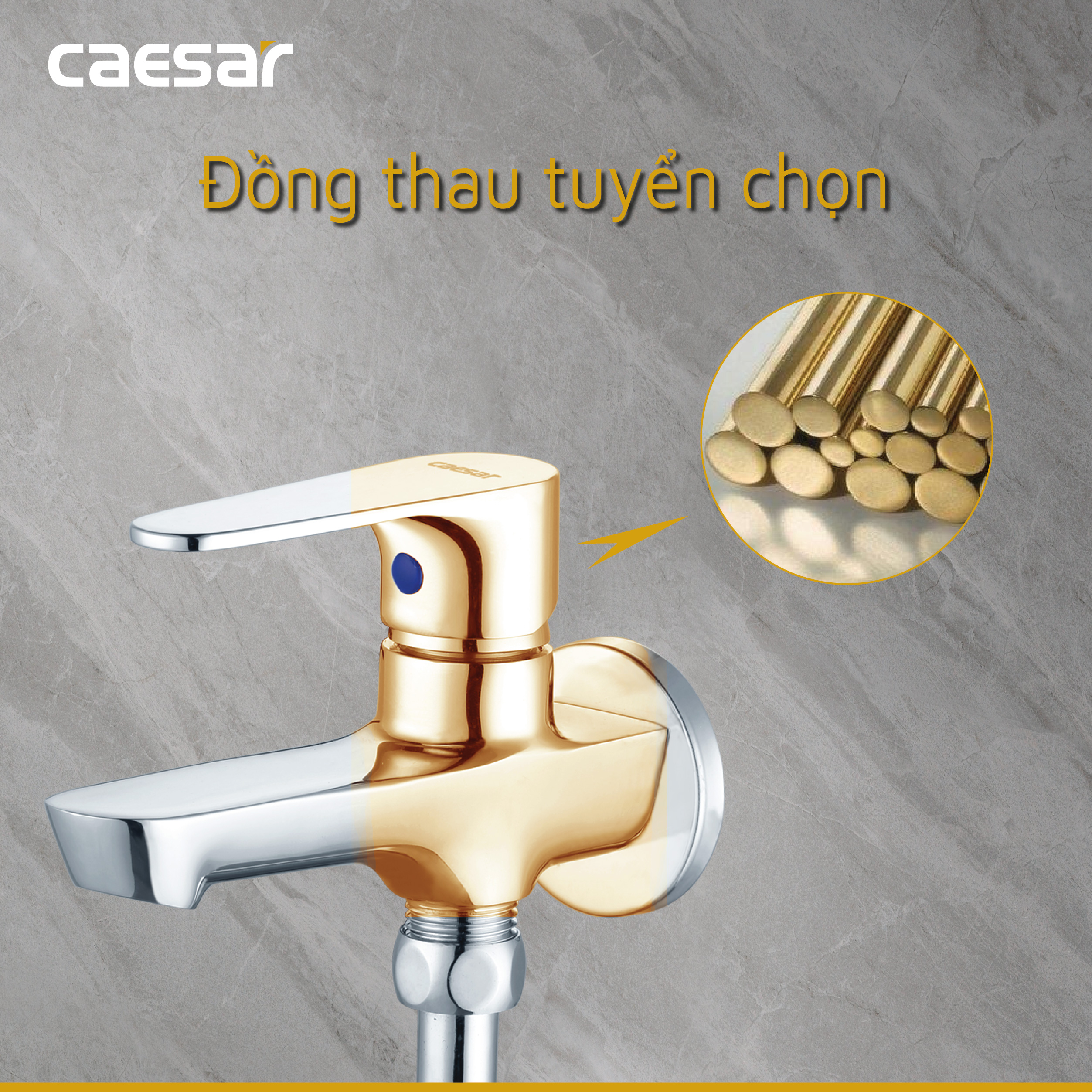 Vòi Sen Lạnh - S063C