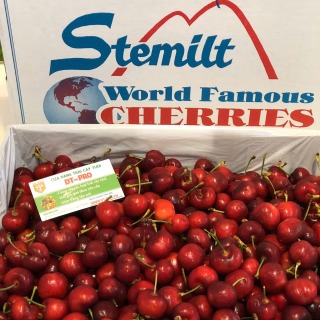 HCM-Cherry Mỹ Size 9.5 500g hộp-Giao nhanh thumbnail