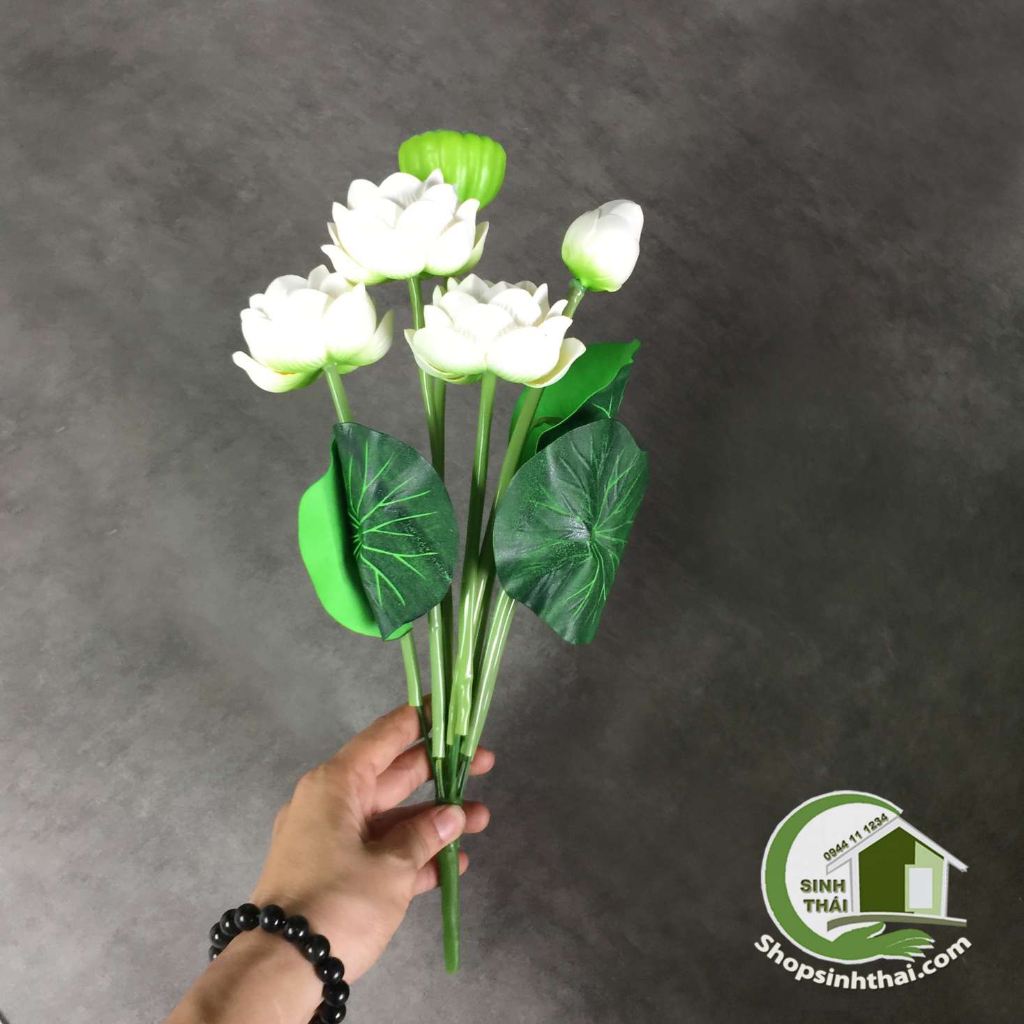 Bụi hoa sen nhỏ màu trắng