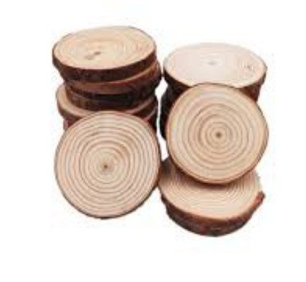 [HCM]miếng gỗ tròn trang trí, 1 khoảnh gỗ