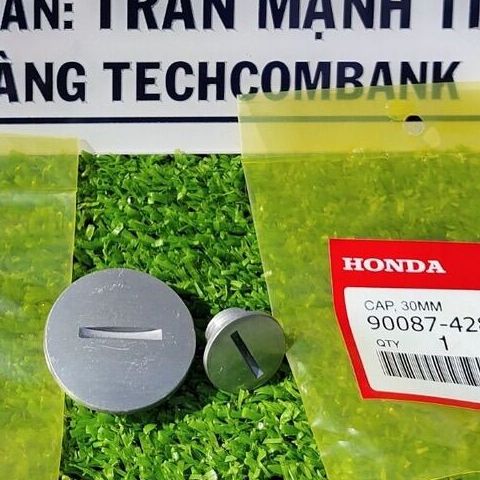 Cặp nút thăm điện Dream Thái loại tốt (XA5.2)