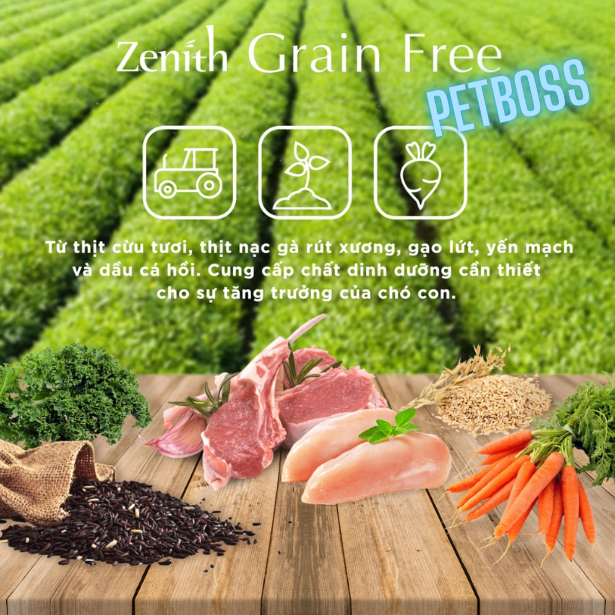 HẠT MỀM CHO CHÓ ZENITH, HẠT MỀM CHO CHÓ CON VÀ CHÓ TRƯỞNG THÀNH