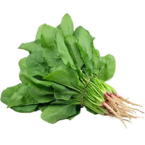 HẠT GIỐNG CẢI BÓ XÔI CHỊU NHIỆT 5GR