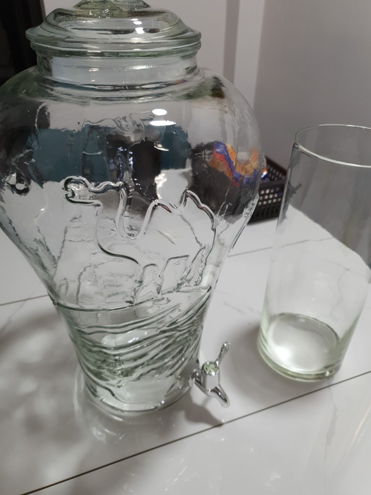 BÌNH NGÂM THỦY TINH GIÁ RẺ (10L * KHÔNG VAN* MẪU LẠC ĐÀ)