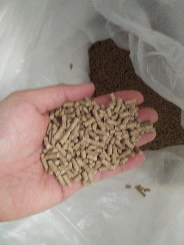 1 kg thức ăn cho thỏ, bọ ú,nhím...