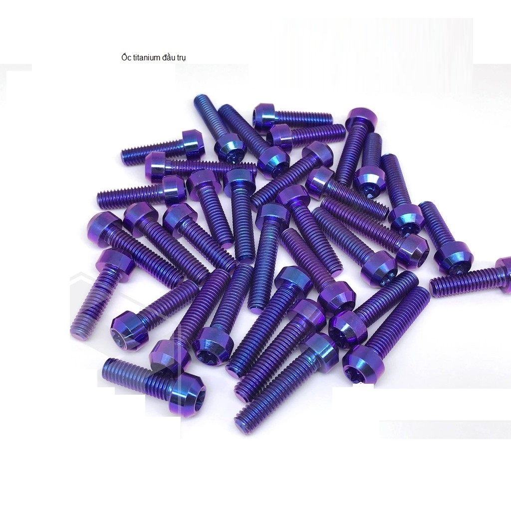 [HCM]ỐC TITANIUM GR5 ĐẦU TRỤ 6x25