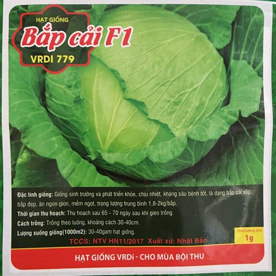 Hạt giống bắp cải F1