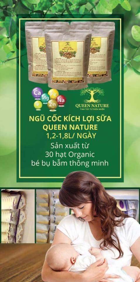 Ngũ cốc kích lợi sữa Queen Nature