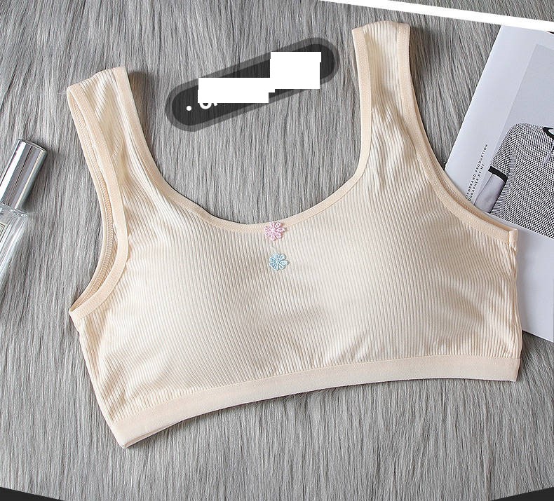 Lẻ 1 áo lót học sinh cấp 2 chất cotton mềm mát có mút mỏng 6020