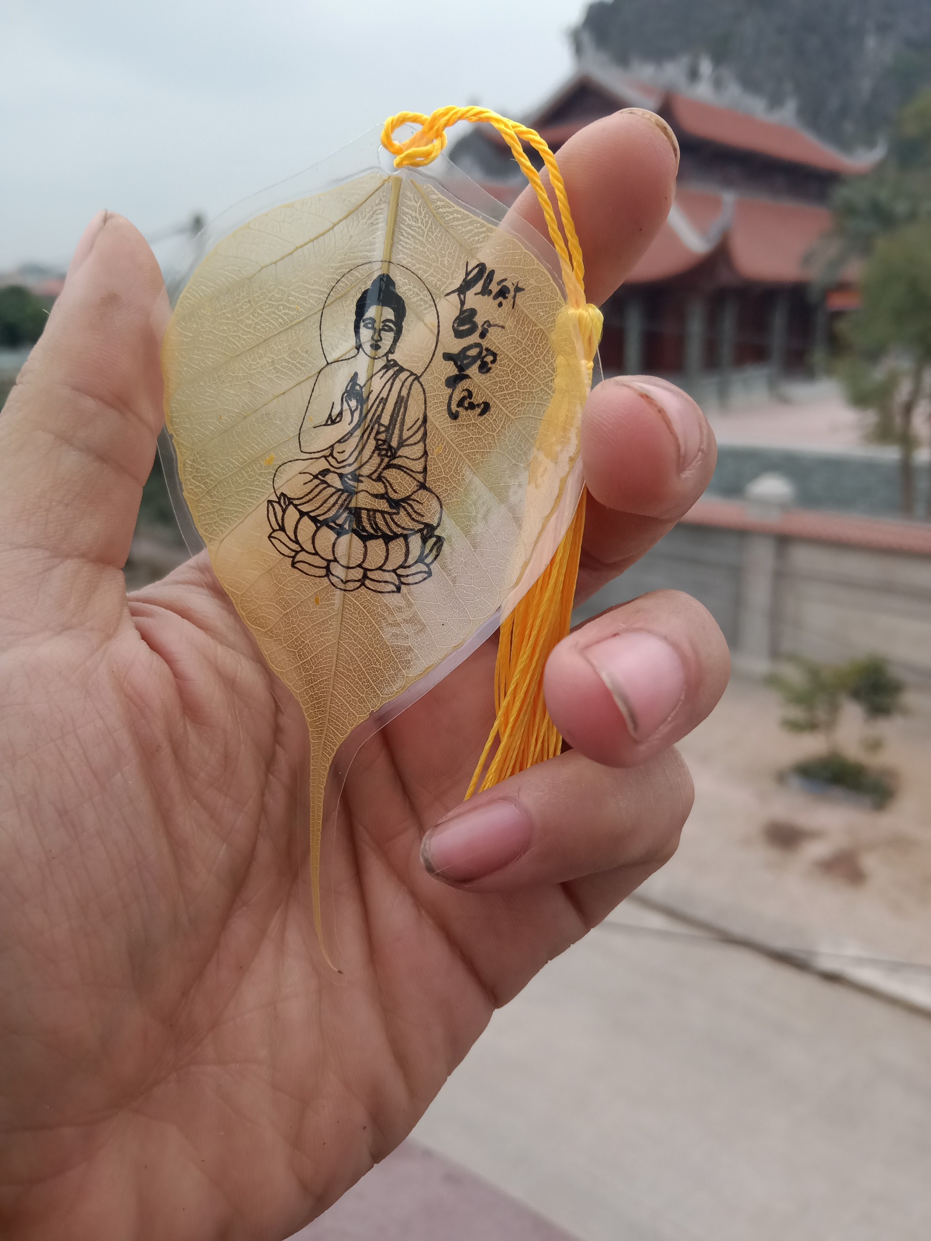 Lá bồ đề bỏ ốp điện thoại ví hình Đức Phật