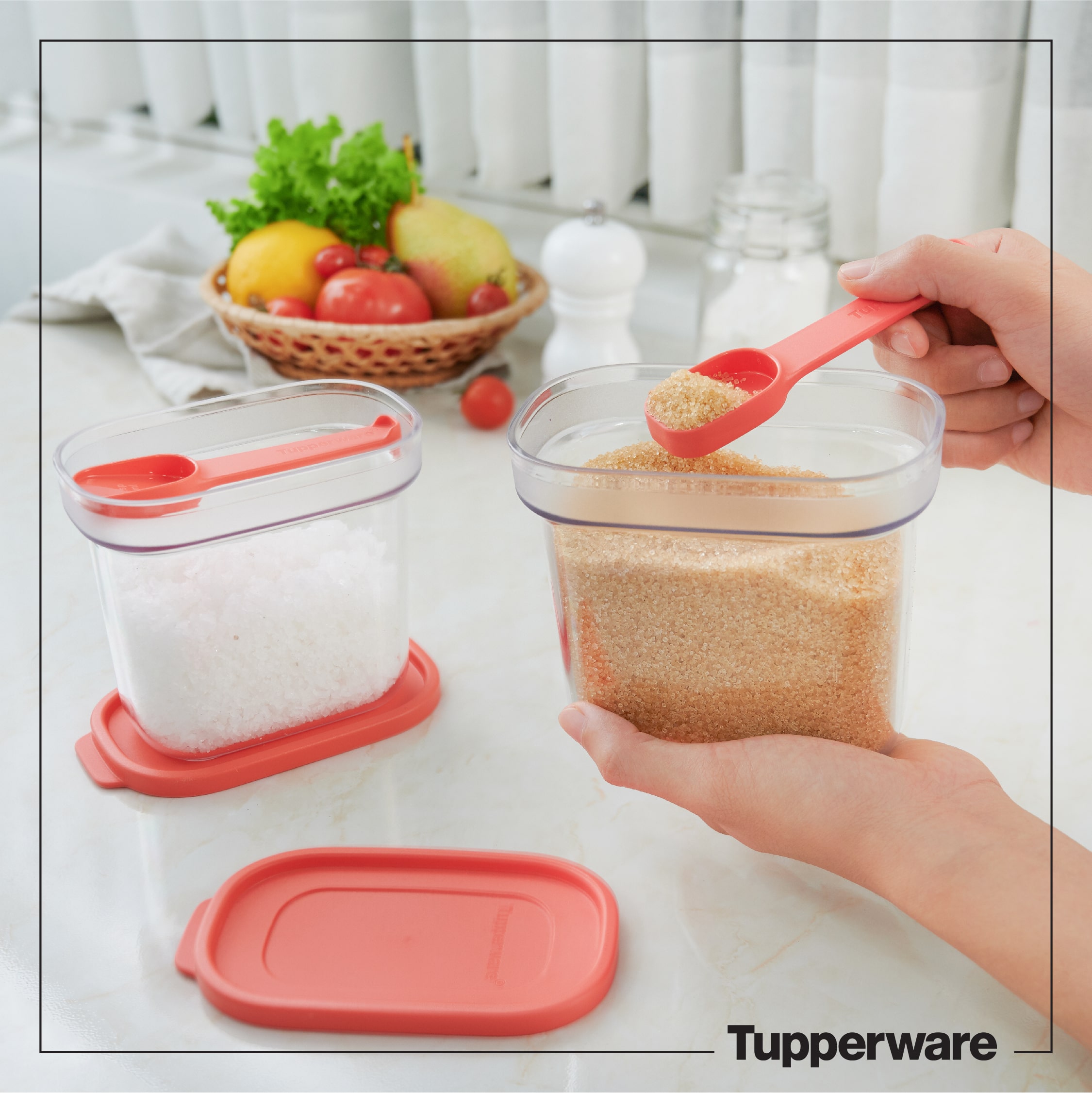 Bộ đựng gia vị Tupperware Umami 500ml (2 Hộp)
