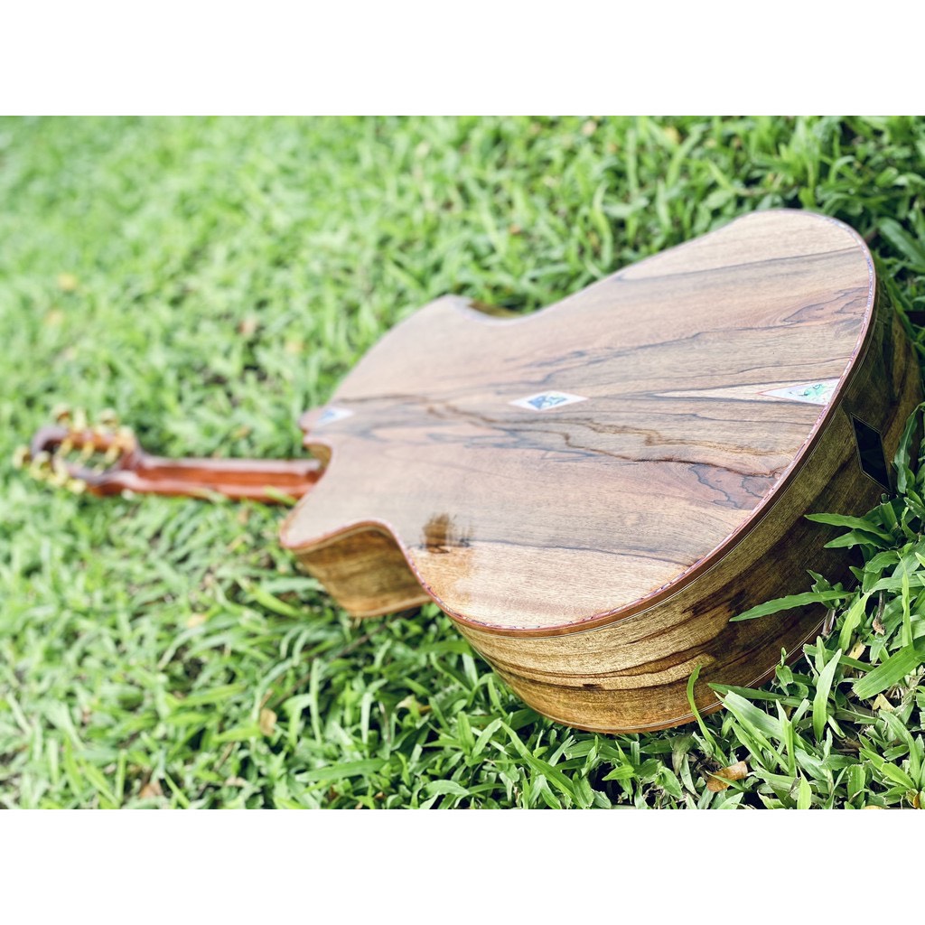 (Miễn Phí Ship) Đàn guitar acoustic ST-C200 - HÀNG CUSTOM