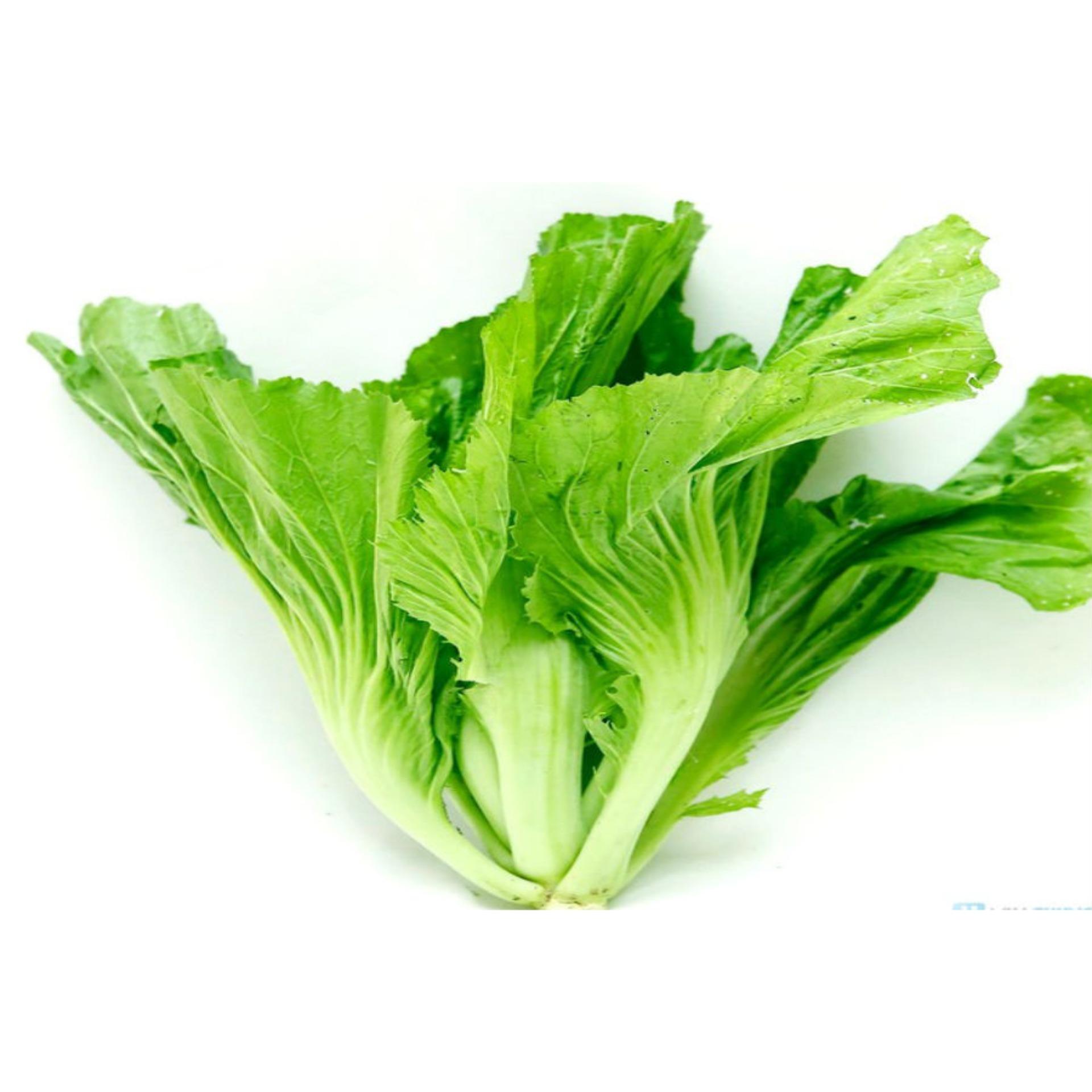 20g Hạt giống Cải bẹ dưa