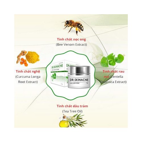 [HCM]Kem Mụn DR SKINACNE