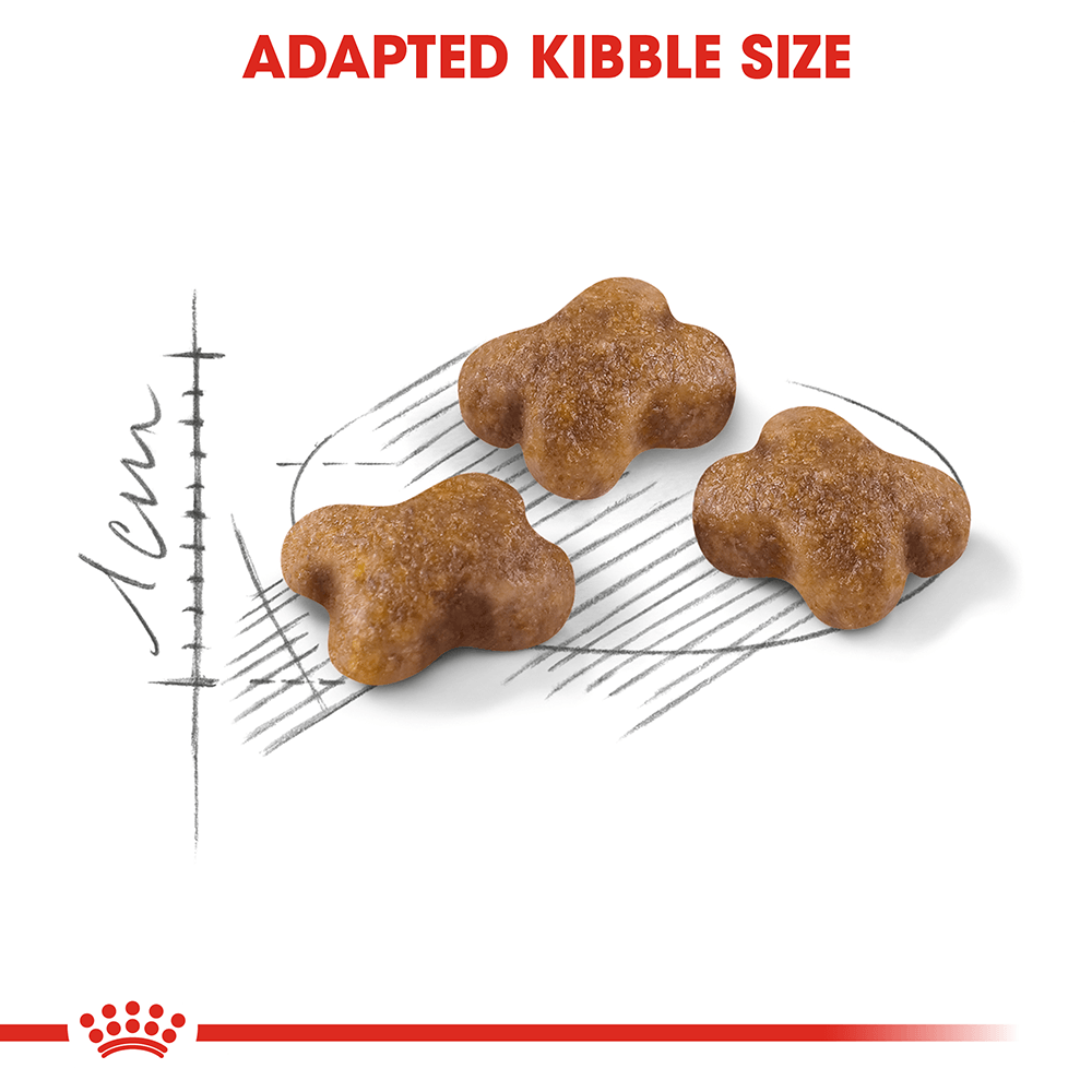 Hạt Cho Mèo Con Royal Canin Kitten 36