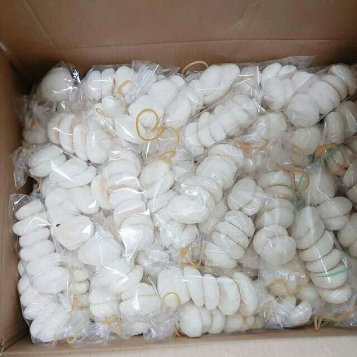 Bánh bao sữa tuổi thơ