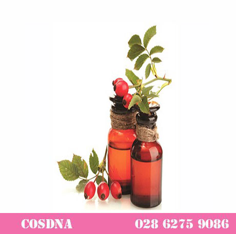 Dầu Nụ Tầm Xuân ( Rosehip Oil )