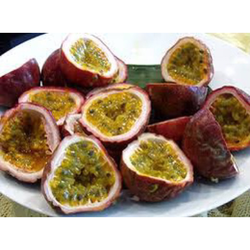 CHANH LEO CHANH DÂY TÍM cây cao (giống siêu sớm 2 tháng cho trái)