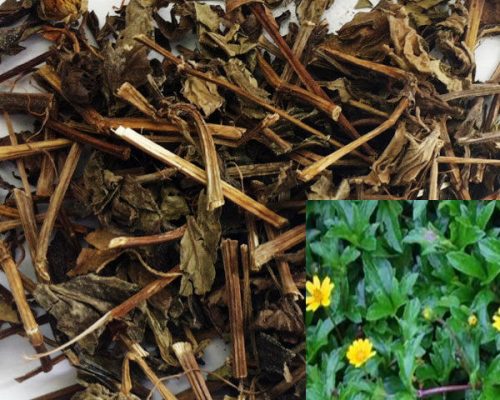 Cây Sài Đất khô 500g GT307