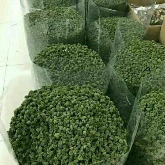 500g nụ tam thất