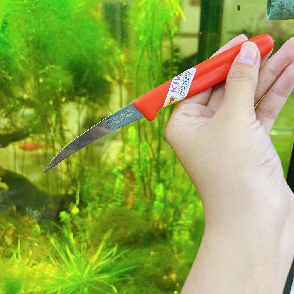 Dao khắc rau củ - tỉa hoa quả