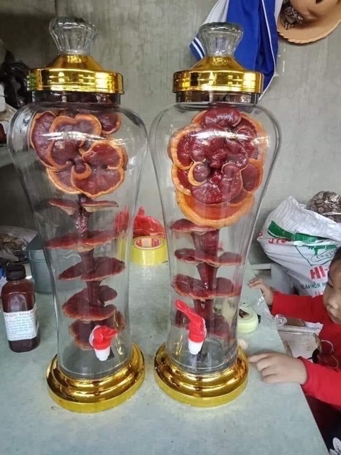 BINH THỦY TINH 6L