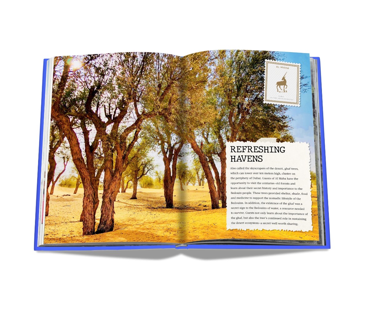 Artbook - Sách Tiếng Anh - The Luxury Collection: Hotel Secrets
