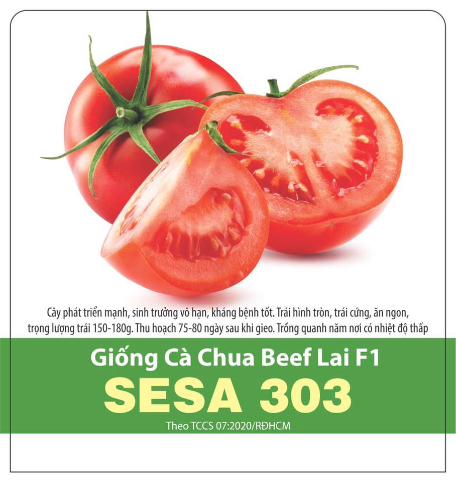 Hạt Giống Cà Chua Beff Sai Trái (3 Hạt)
