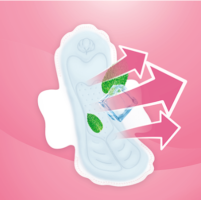 Combo 30 miếng băng vệ sinh Molped có cánh (15 gói)