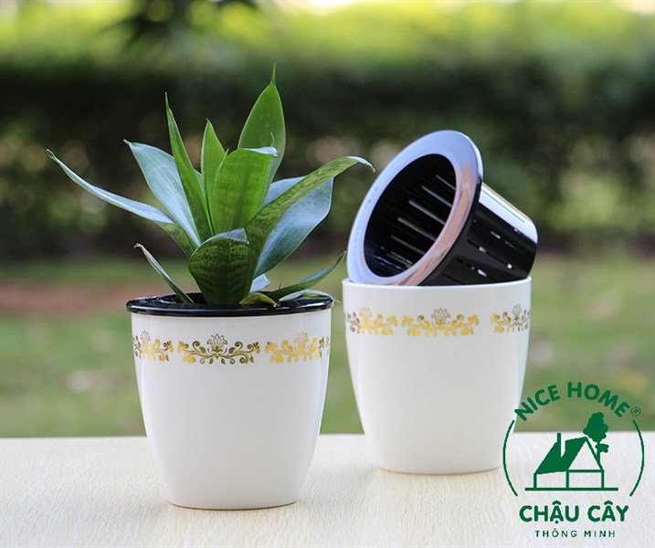 Chậu cây tự dưỡng thông minh- H005